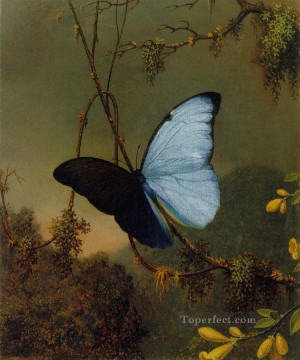 Mariposa Morpho Azul ATC Romántico Martin Johnson Heade Pinturas al óleo